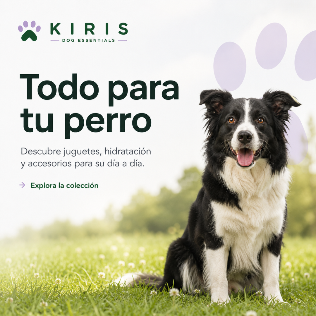 PRODUCTOS