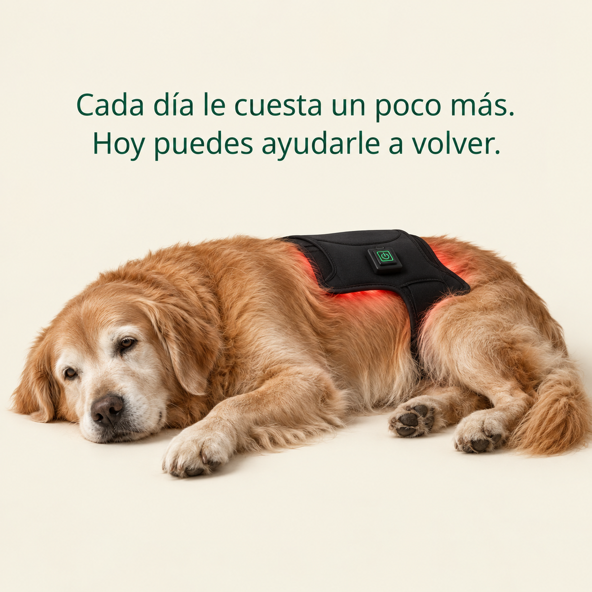 Kiris Dog™ Soporte Terapia de Luz Roja
