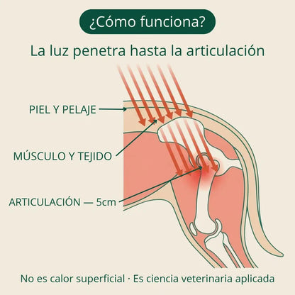 Kiris Dog™ Soporte Terapia de Luz Roja
