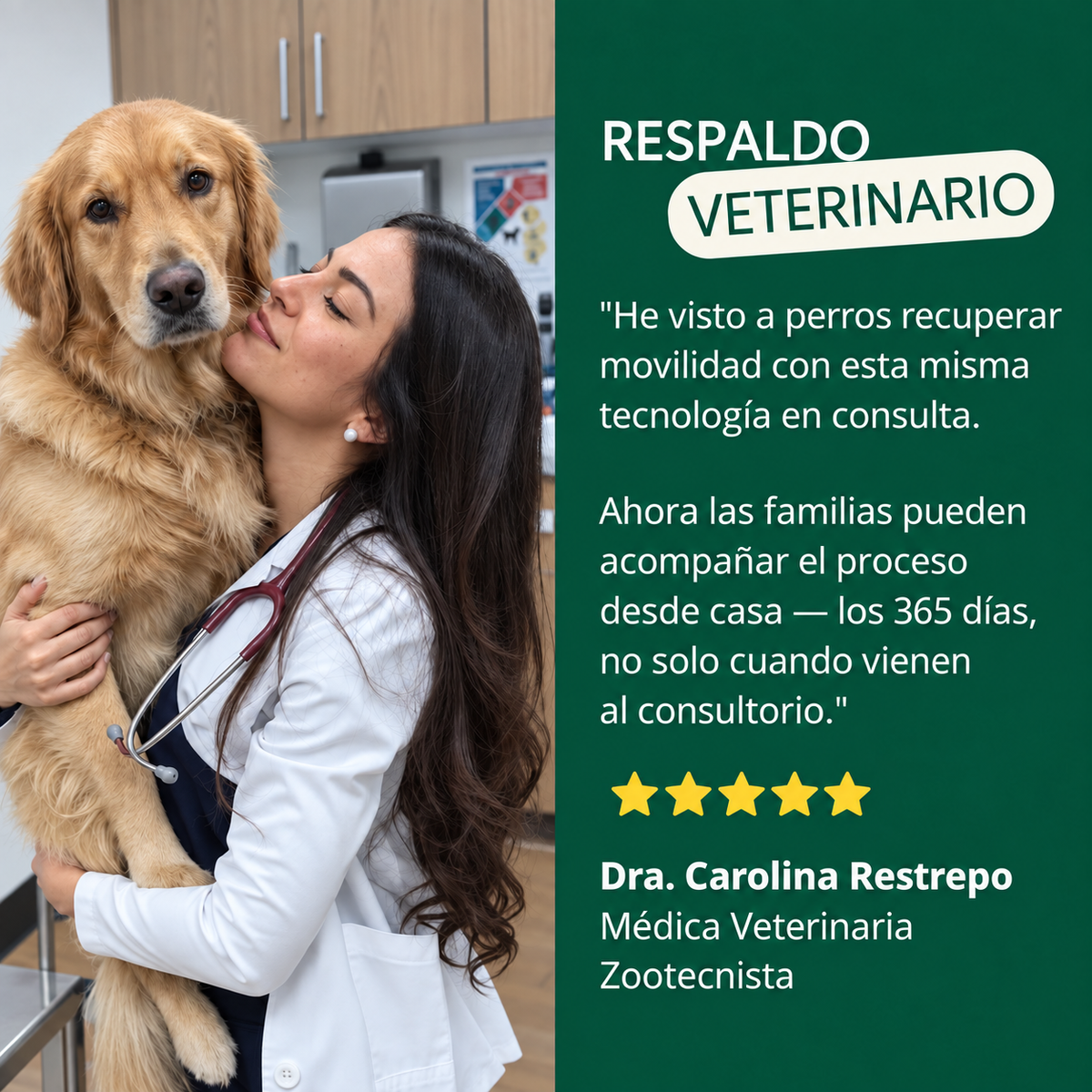Kiris Dog™ Soporte Terapia de Luz Roja