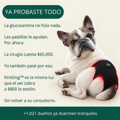 Kiris Dog™ Soporte Terapia de Luz Roja