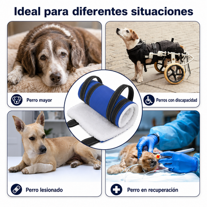 Soporte Cadera Perro