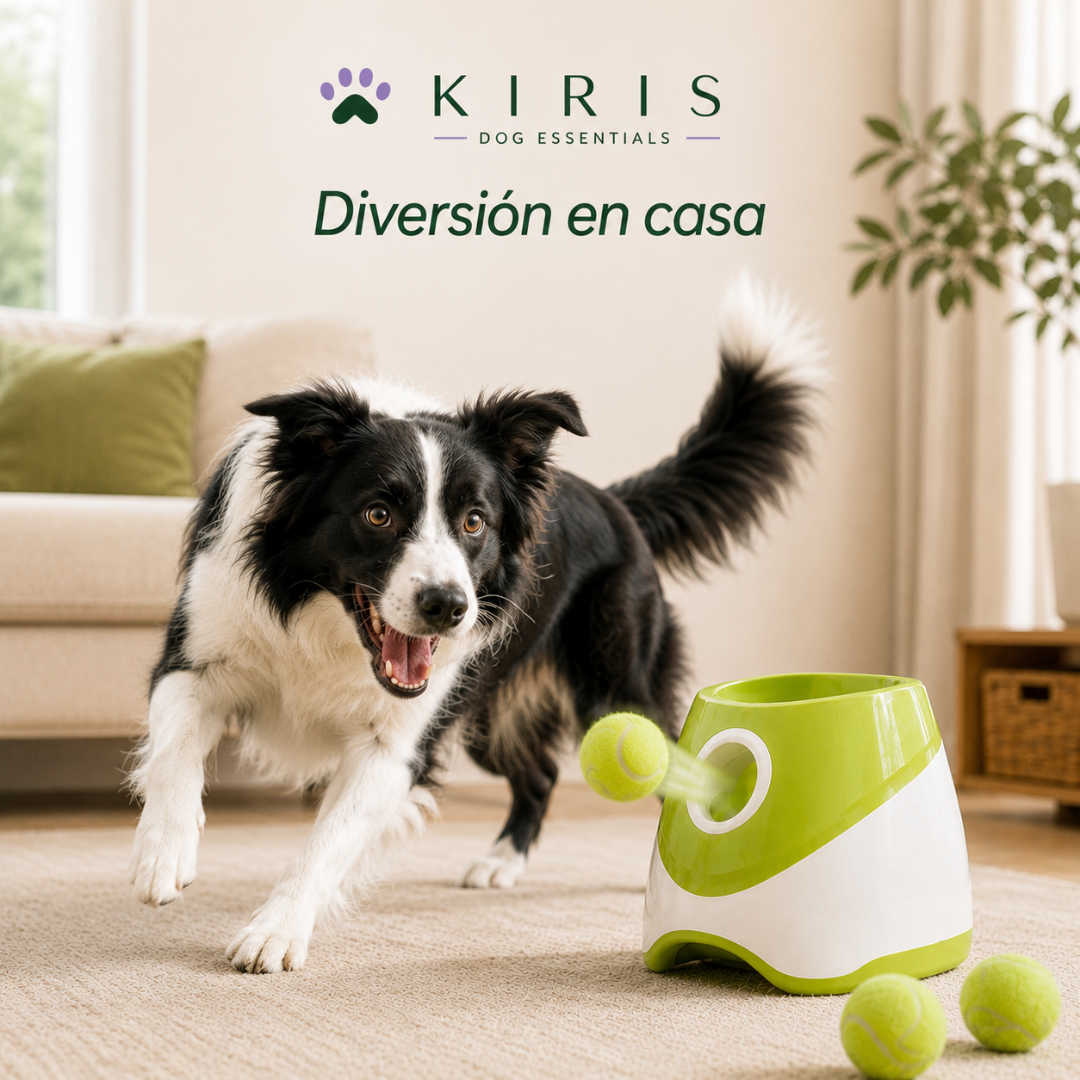Lanzador de Pelotas Automático Perros