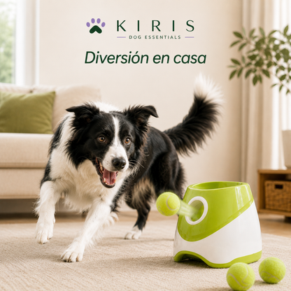Lanzador de Pelotas Automático Perros