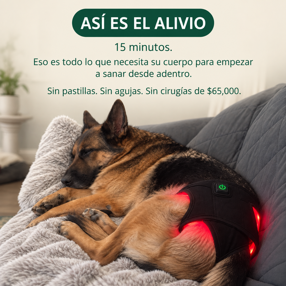 Kiris Dog™ Soporte Terapia de Luz Roja