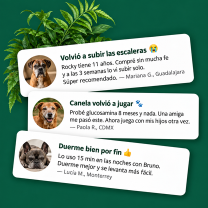 Kiris Dog™ Soporte Terapia de Luz Roja